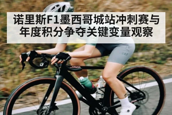 诺里斯F1墨西哥城站冲刺赛与年度积分争夺关键变量观察